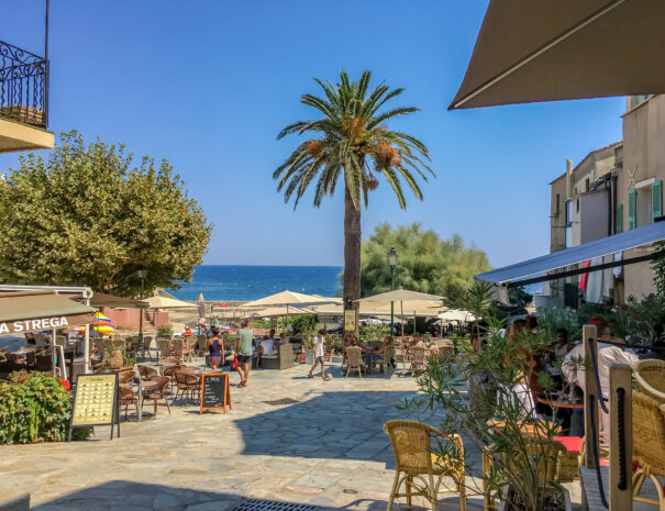 Erbalunga Center | Port